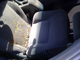 1998 HONDA CIVIC, SILVER, EX MODEL, 1.6L, VTEC, A26279